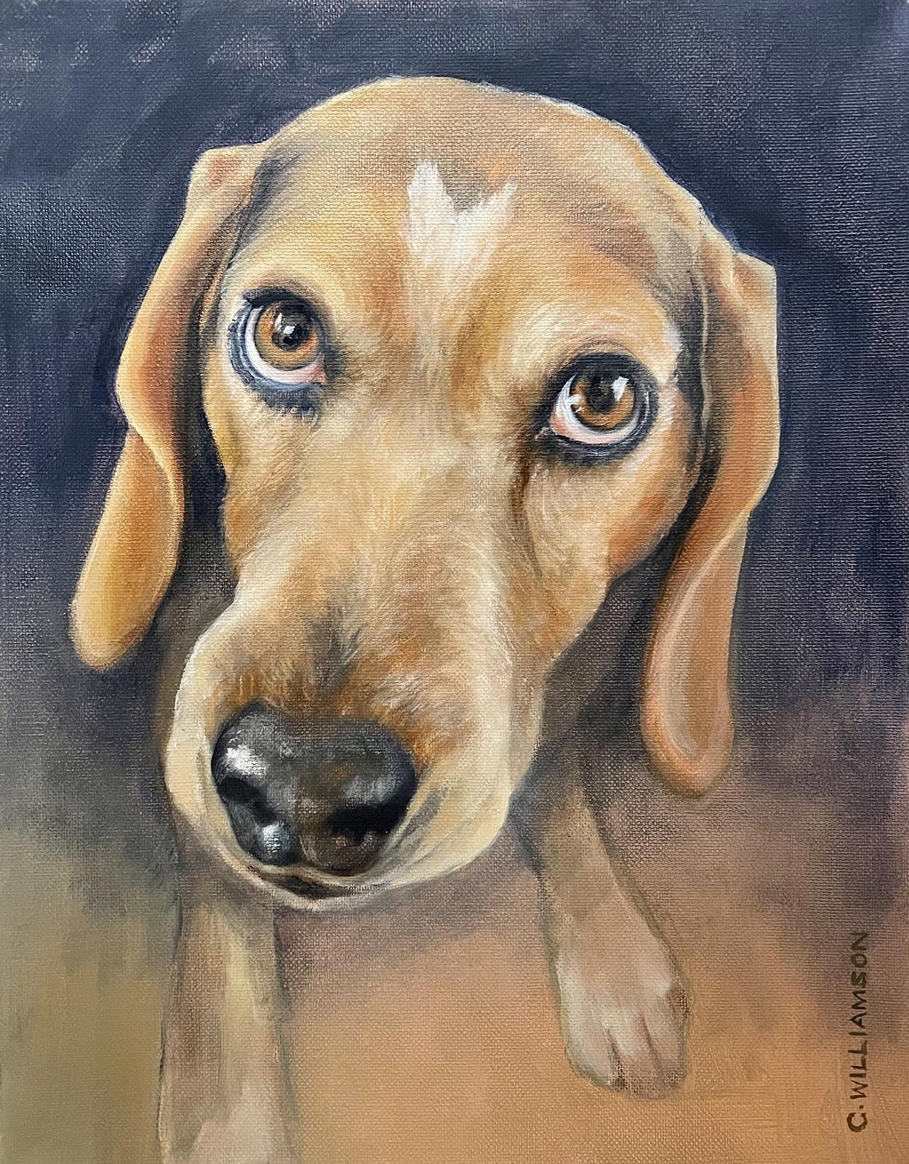 Oil painting of a beagle.. Painted by Carol Williamson.