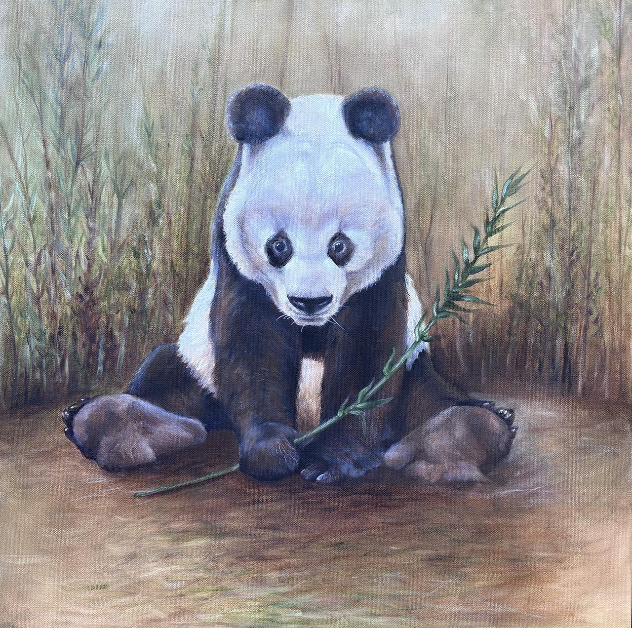 Oil painting of a panda seated in a clearing of bamboo.. Painted by Carol Williamson.