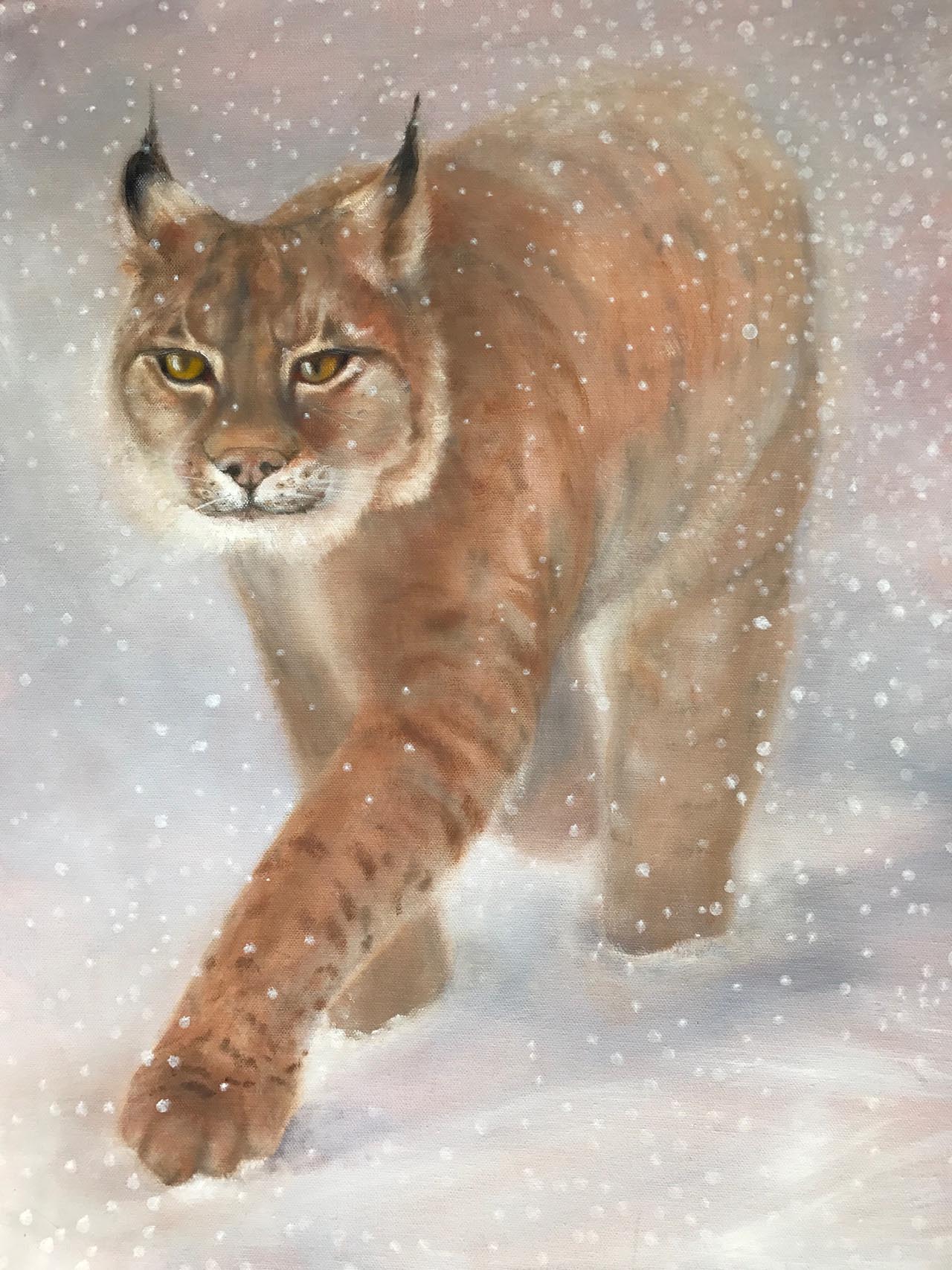 Oil painting of a bobcat walking in the snow.. Painted by Carol Williamson.