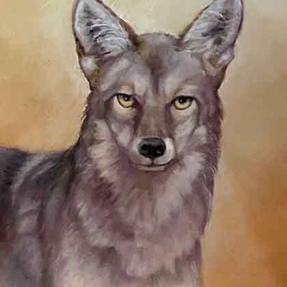 Oil painting of coyote.