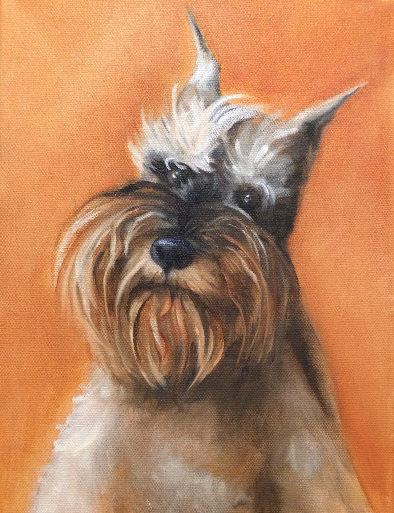 Oil painting of a schnauzer.. Painted by Carol Williamson.